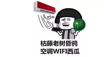 告別空調西瓜WIFI周末，解鎖健康生活新方式
